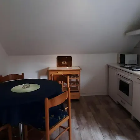 Flat In The Harz Near The Area Wildemann