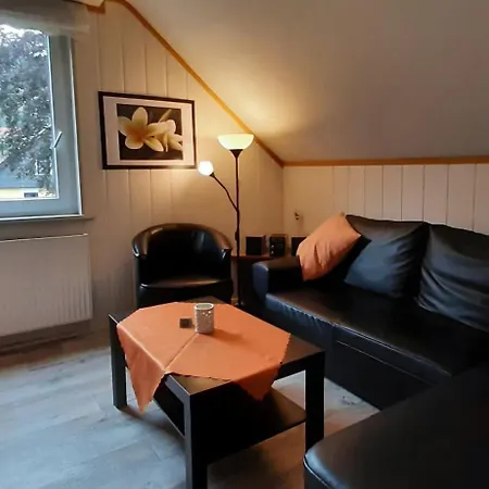 Apartment Flat In The Harz Near The Area Wildemann