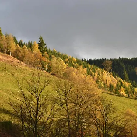 Apartment Flat In The Harz Near The Area Wildemann