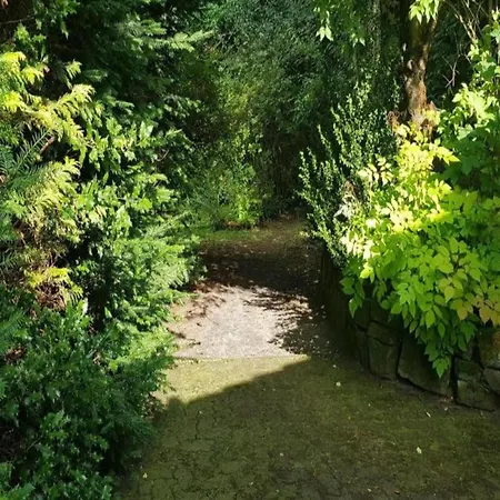 Sonniges Dachgeschoss-refugium, *