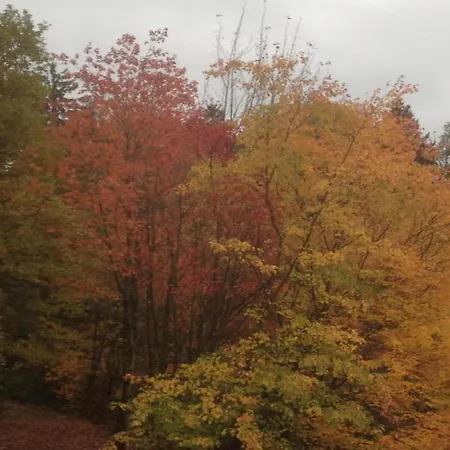 Flat In The Harz Near The Area Wildemann