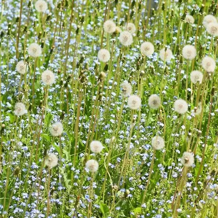 Sonniges Dachgeschoss-refugium,