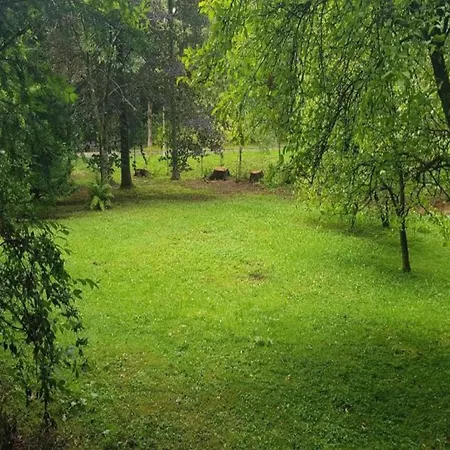 Flat In The Harz Near The Area Apartment Wildemann