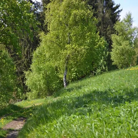 Apartment Sonniges Dachgeschoss-refugium,