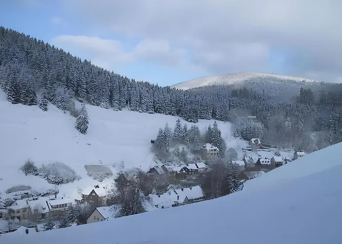 Διαμέρισμα Sonniges Dachgeschoss-refugium, Wildemann