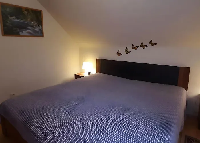 Sonniges Dachgeschoss-refugium, Wildemann