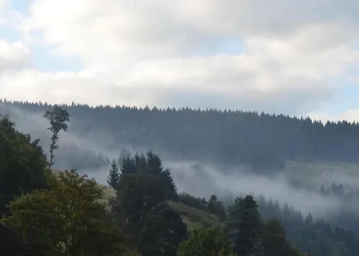 Sonniges Dachgeschoss-refugium,