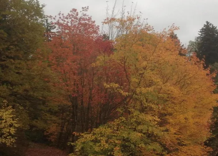 Sonniges Dachgeschoss-refugium, Wildemann