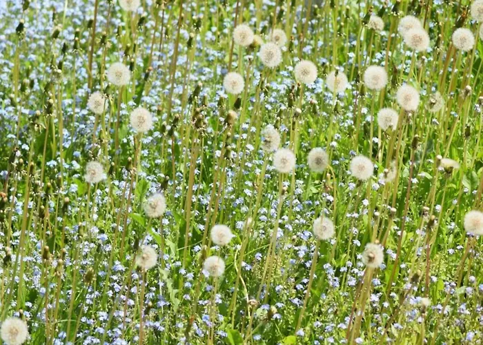 Sonniges Dachgeschoss-refugium,