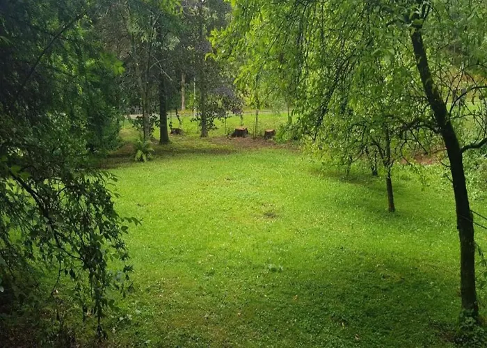 Sonniges Dachgeschoss-refugium, Διαμέρισμα Wildemann