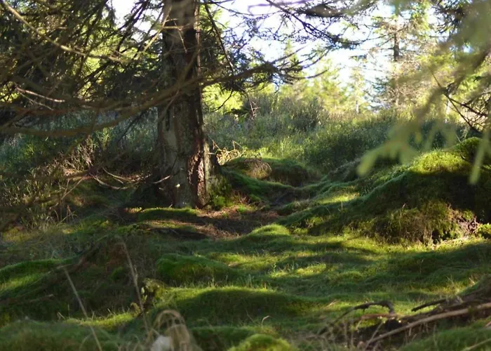 Sonniges Dachgeschoss-refugium, *