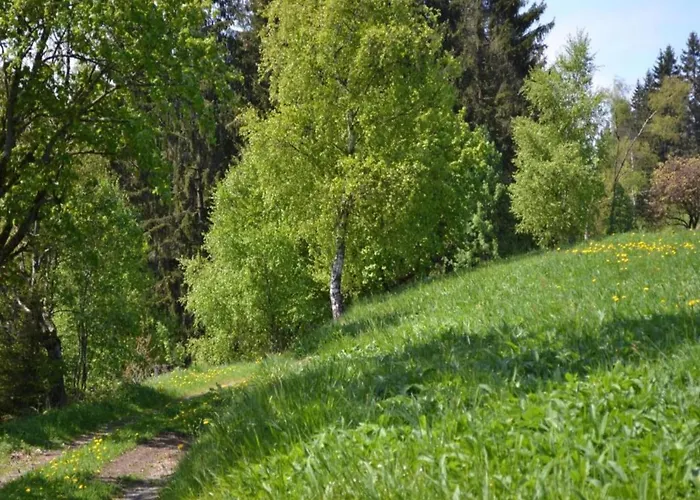Διαμέρισμα Sonniges Dachgeschoss-refugium,
